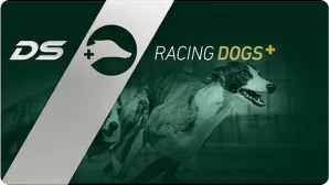 racing dogs plus