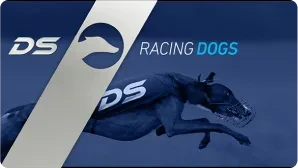 racing dogs 2
