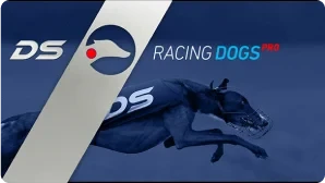racing dogs