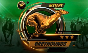 greyhounds instant